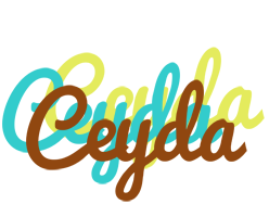 Ceyda cupcake logo