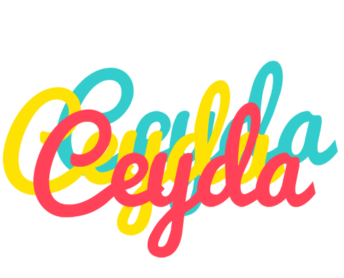 Ceyda disco logo