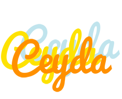 Ceyda energy logo