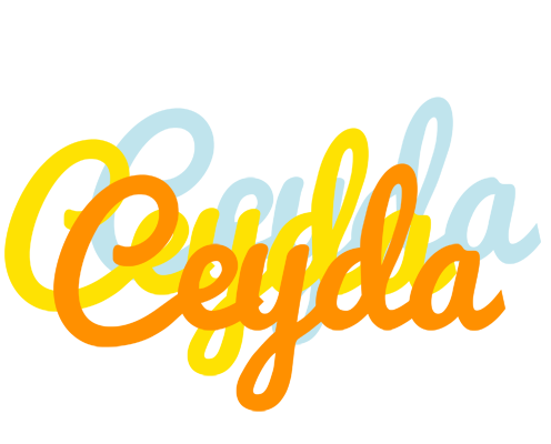 Ceyda energy logo