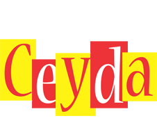 Ceyda errors logo