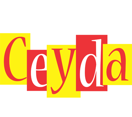 Ceyda errors logo