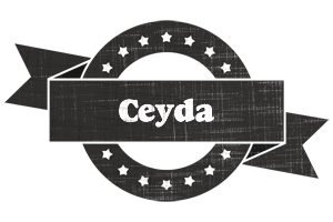 Ceyda grunge logo