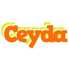 Ceyda healthy logo