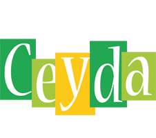 Ceyda lemonade logo