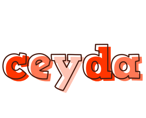 Ceyda paint logo