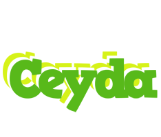 Ceyda picnic logo