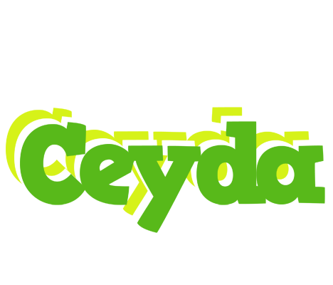 Ceyda picnic logo
