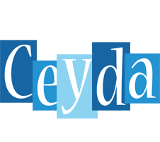 Ceyda winter logo