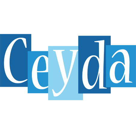 Ceyda winter logo