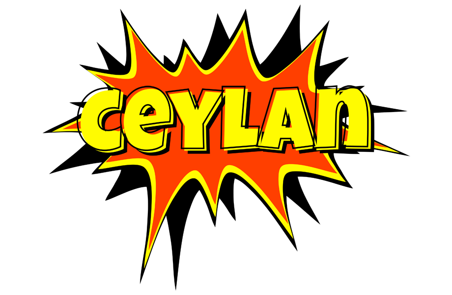 Ceylan bazinga logo