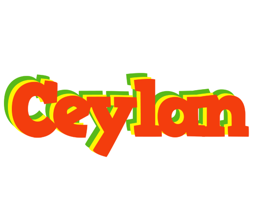 Ceylan bbq logo