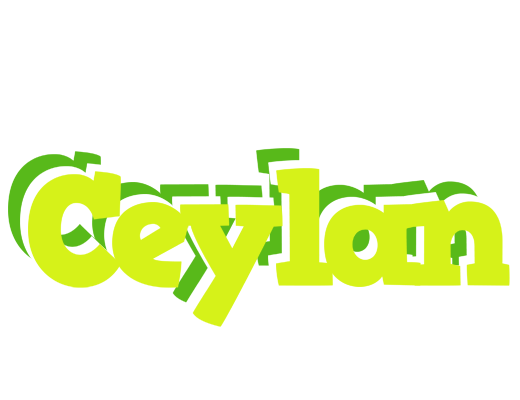 Ceylan citrus logo