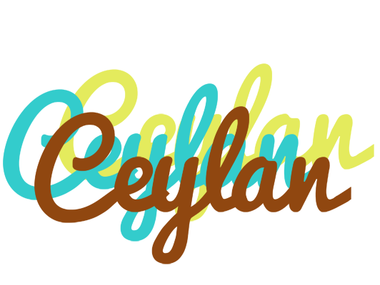Ceylan cupcake logo