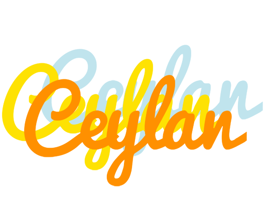 Ceylan energy logo