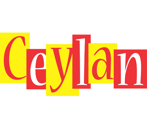 Ceylan errors logo