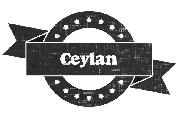Ceylan grunge logo