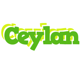 Ceylan picnic logo