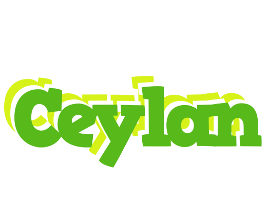 Ceylan picnic logo