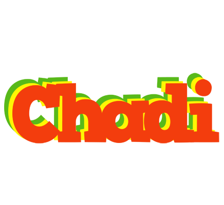 Chadi bbq logo