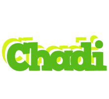 Chadi picnic logo