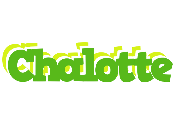Chalotte picnic logo