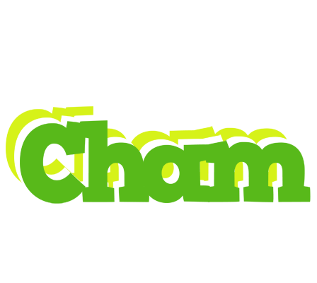 Cham picnic logo