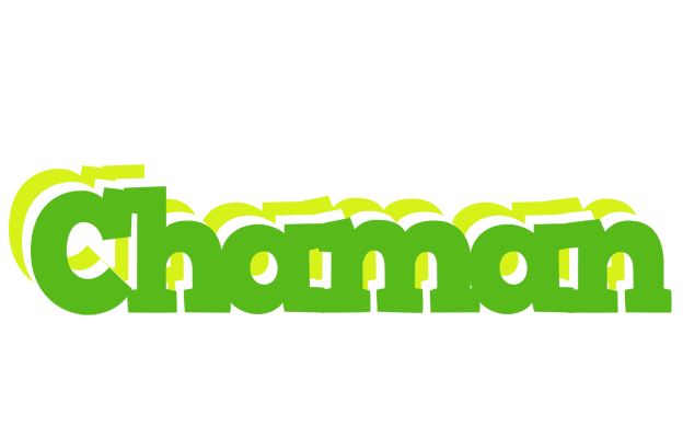 Chaman picnic logo