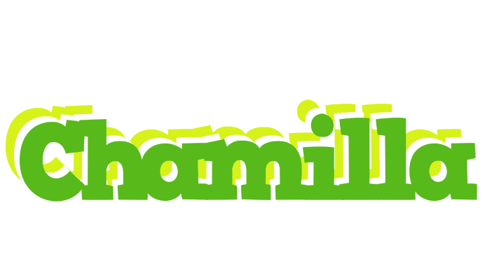 Chamilla picnic logo