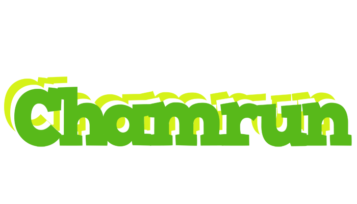 Chamrun picnic logo