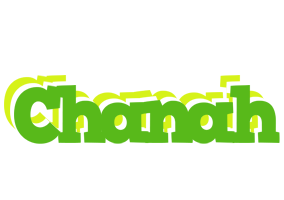 Chanah picnic logo