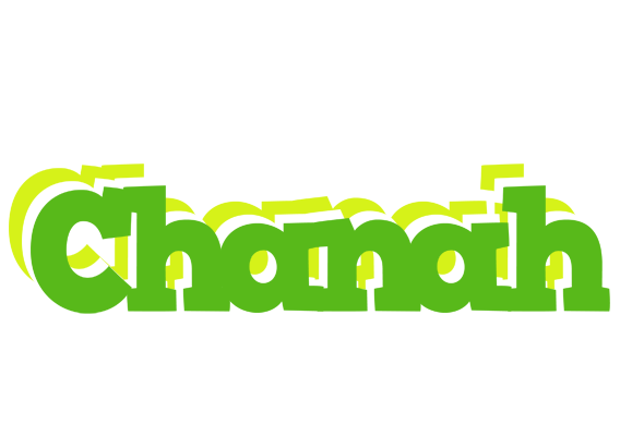 Chanah picnic logo
