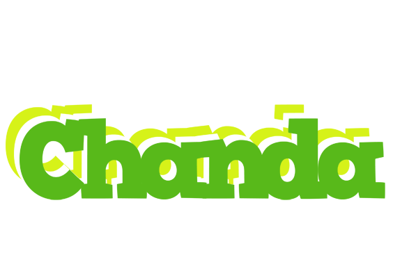 Chanda picnic logo