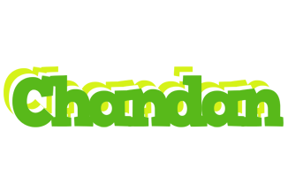 Chandan picnic logo