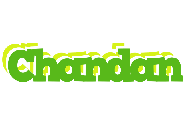 Chandan picnic logo