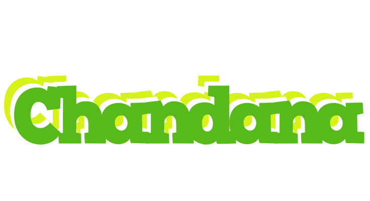 Chandana picnic logo