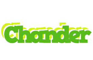 Chander picnic logo