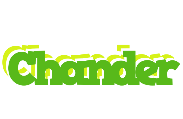 Chander picnic logo
