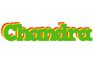 Chandra crocodile logo