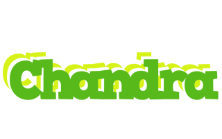 Chandra picnic logo