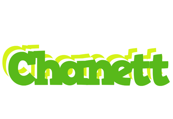 Chanett picnic logo