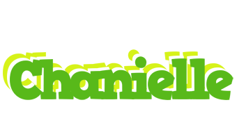 Chanielle picnic logo