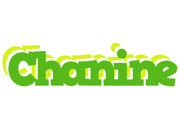 Chanine picnic logo