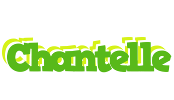 Chantelle picnic logo