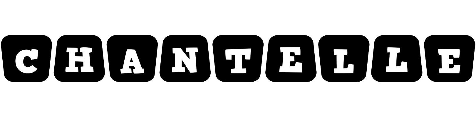 Chantelle racing logo