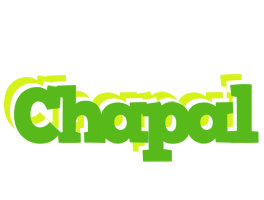 Chapal picnic logo