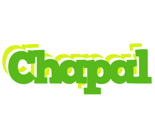 Chapal picnic logo