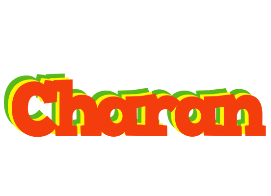 Charan bbq logo