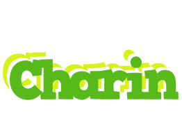 Charin picnic logo