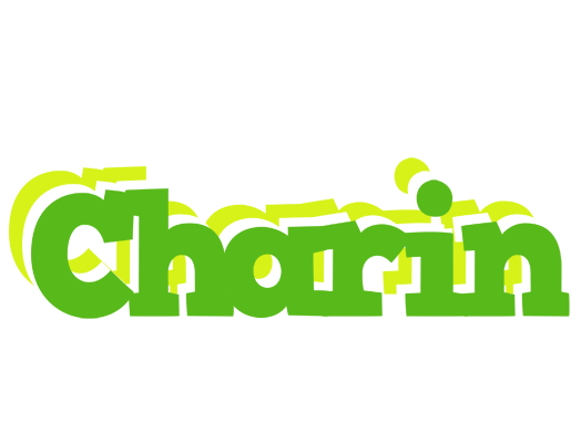 Charin picnic logo